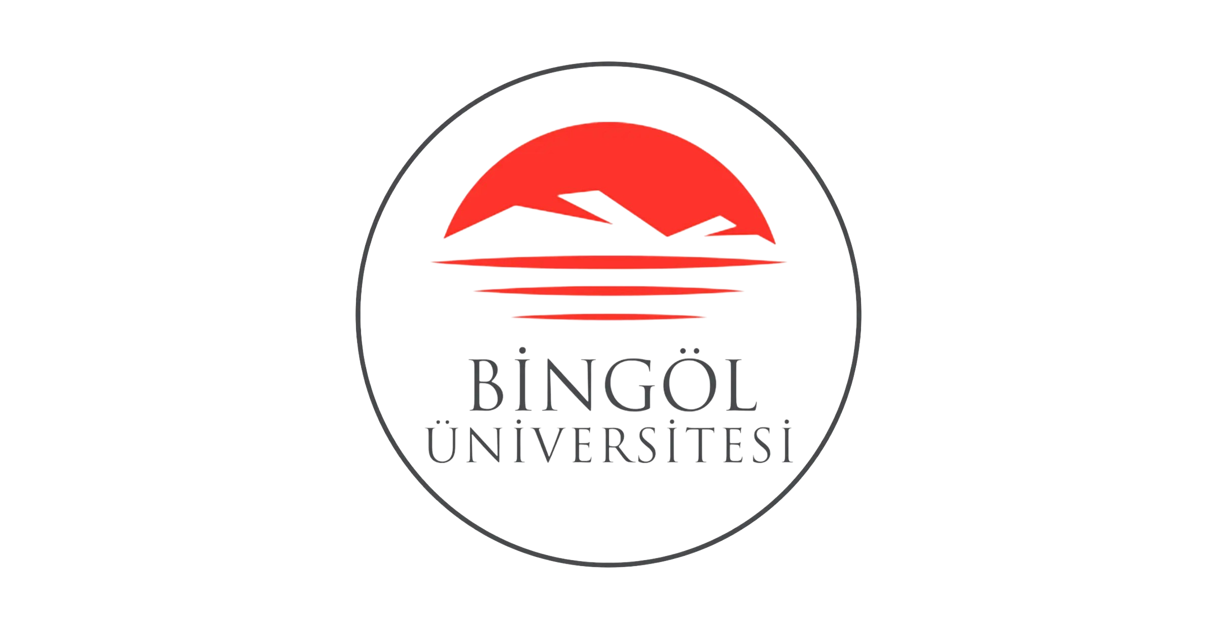جامعة بينغول