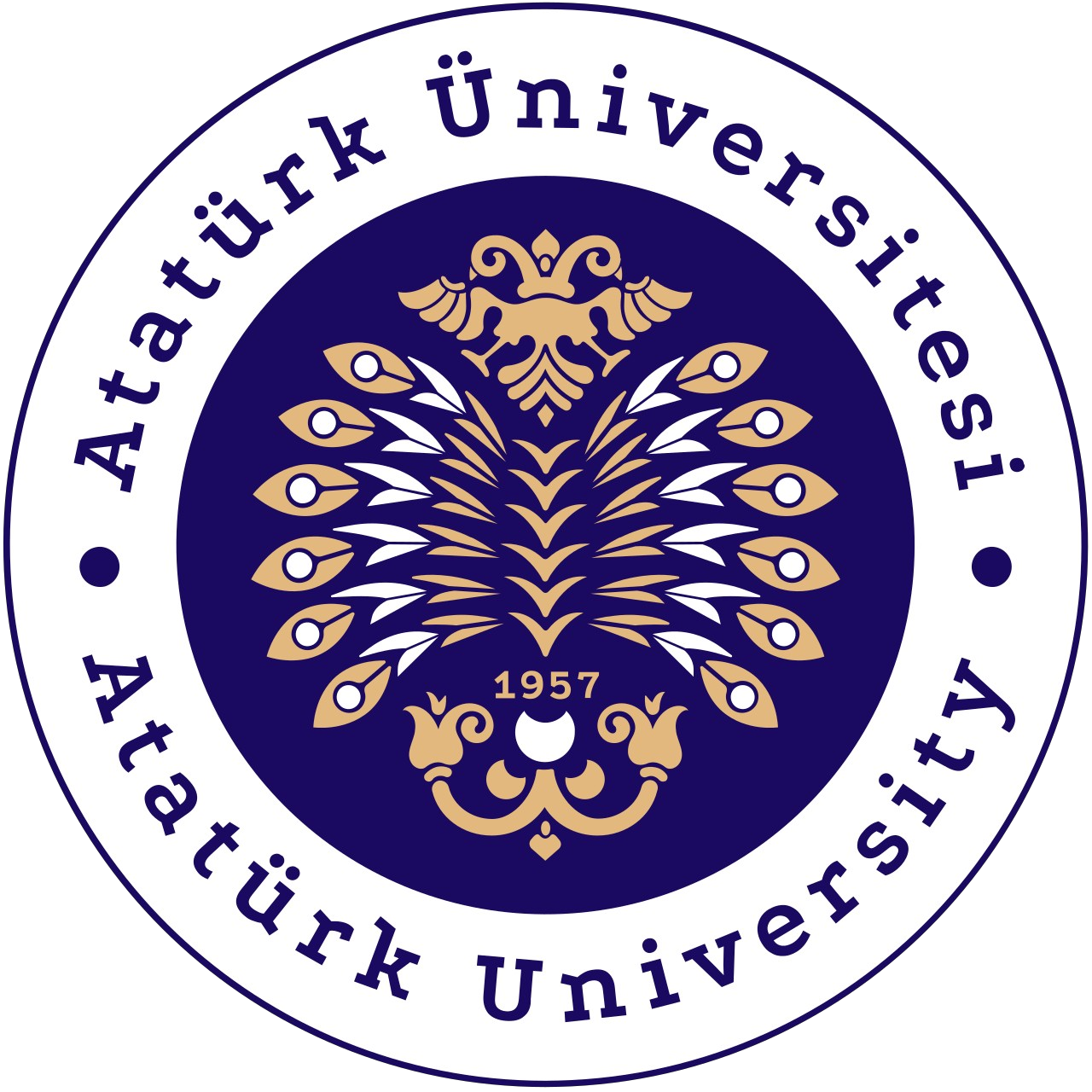 جامعة اتاتورك