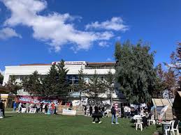 جامعة إسطنبول توبكابي