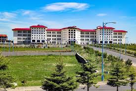 جامعة ارداهان