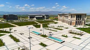 جامعة ارزروم تكنيك