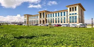 جامعة ارزروم تكنيك
