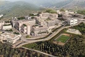 جامعة ازمير للاقتصاد