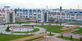 جامعة ايجة