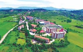 جامعة بارتن