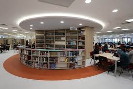 جامعة باموكالة