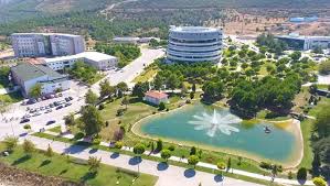 جامعة باموكالة