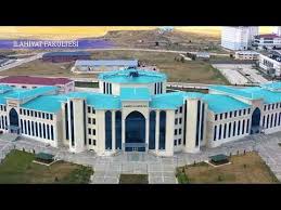 جامعة بايبورت