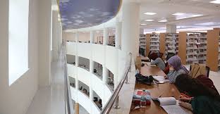 جامعة بايبورت