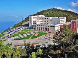 جامعة بولنت اجاويد
