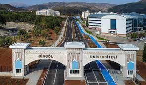 جامعة بينغول