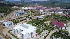 جامعة بينغول