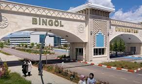 جامعة بينغول