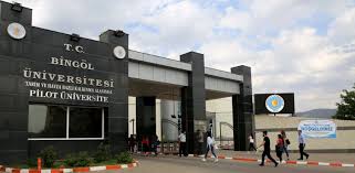 جامعة بينغول