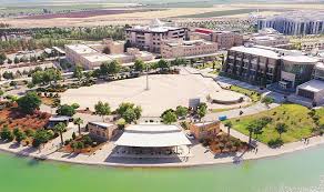 جامعة حران