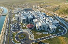 جامعة حران