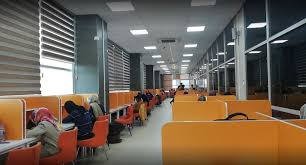 جامعة حران