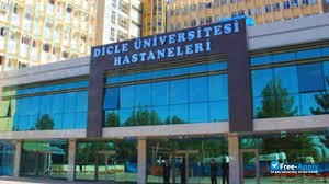 جامعة دجلة