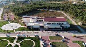 جامعة دجلة