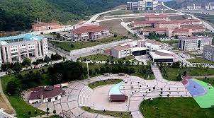 جامعة دوزجة