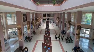 جامعة دوكوز ايلول