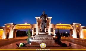 جامعة سلجوق