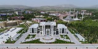 جامعة سلجوق