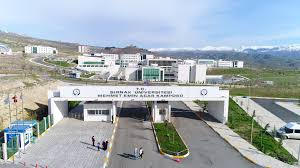 جامعة شرناق
